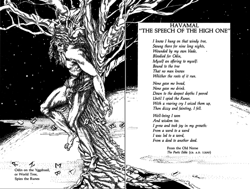 Odin, hanging himself on himself. (Please, someone help me figure out what book this is from.) 